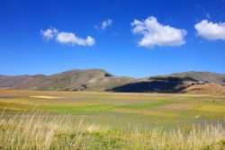 Fioritura Castelluccio 2017